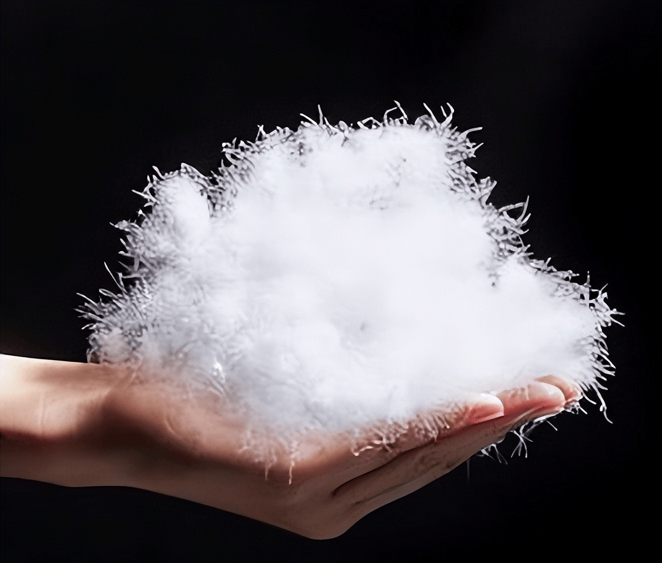 关于《GB/T17685—2026羽绒羽毛》新标准